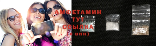 прущие грибы Аркадак